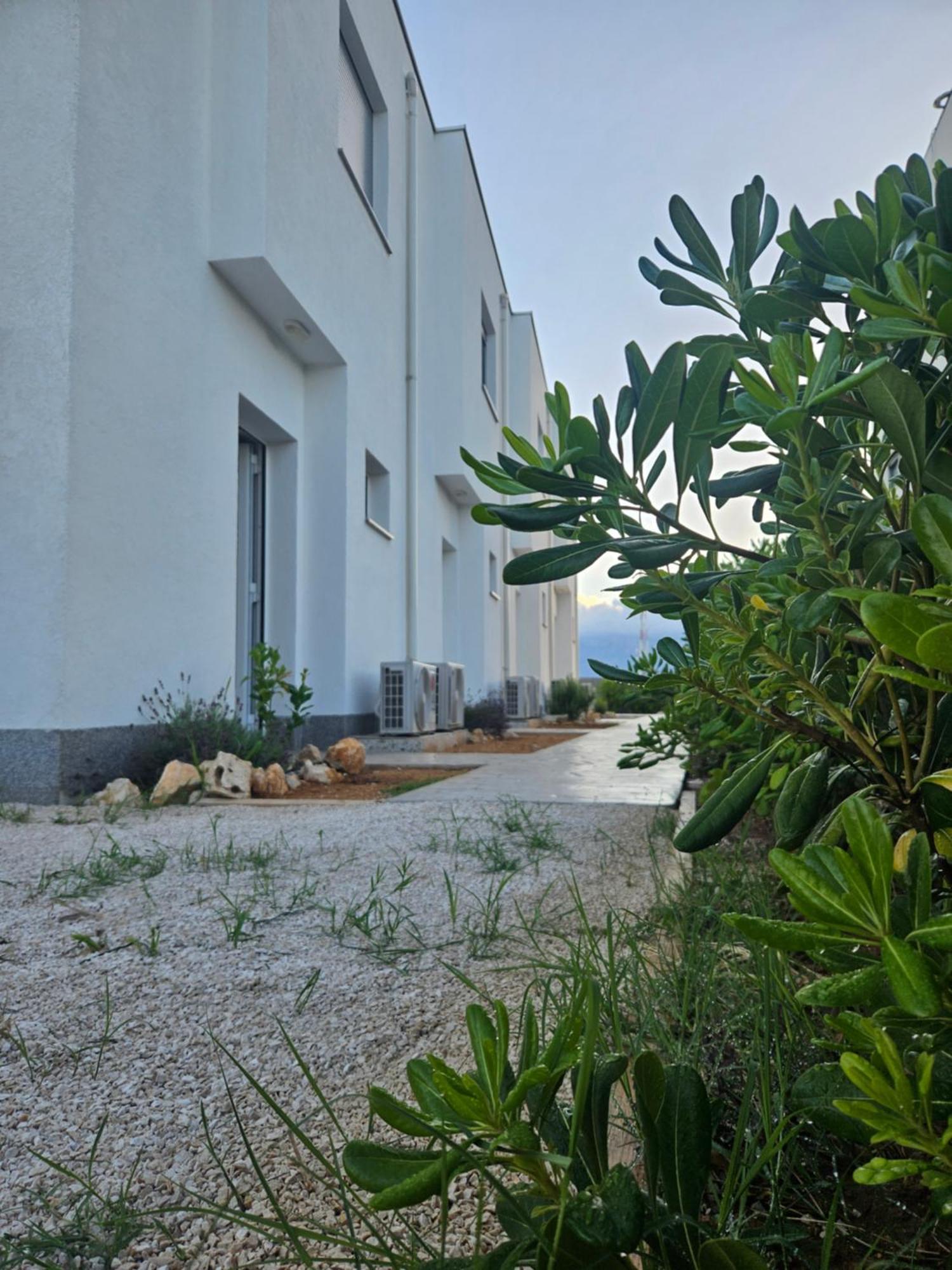 Bura House Villa Povljana Rom bilde