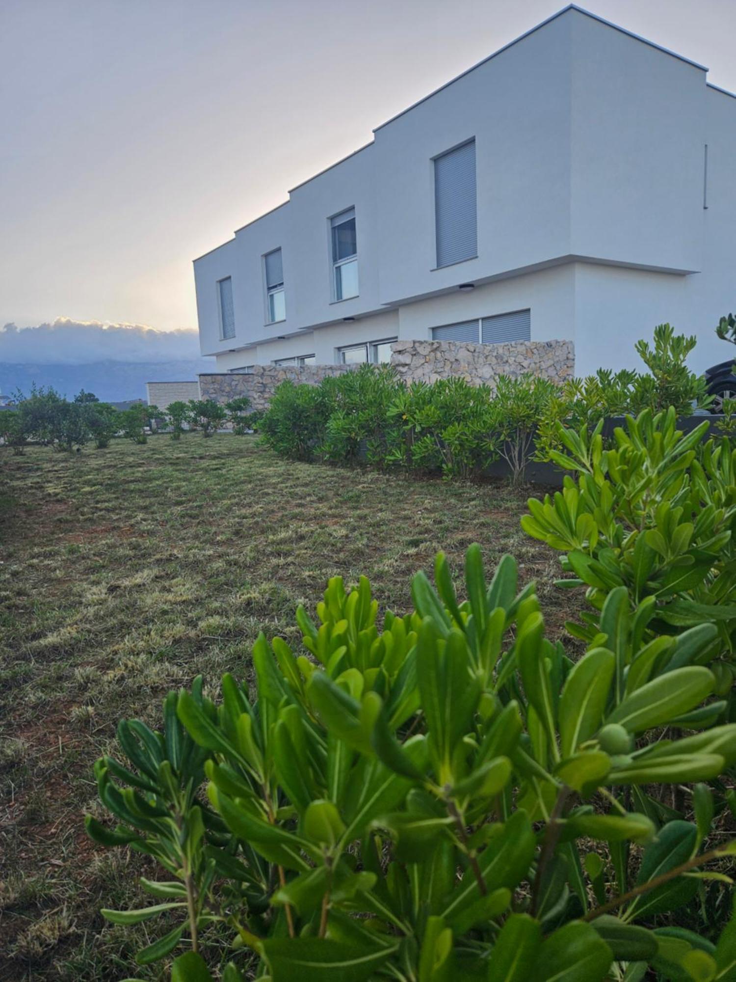 Bura House Villa Povljana Rom bilde
